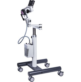 Karl Kaps KP 3000